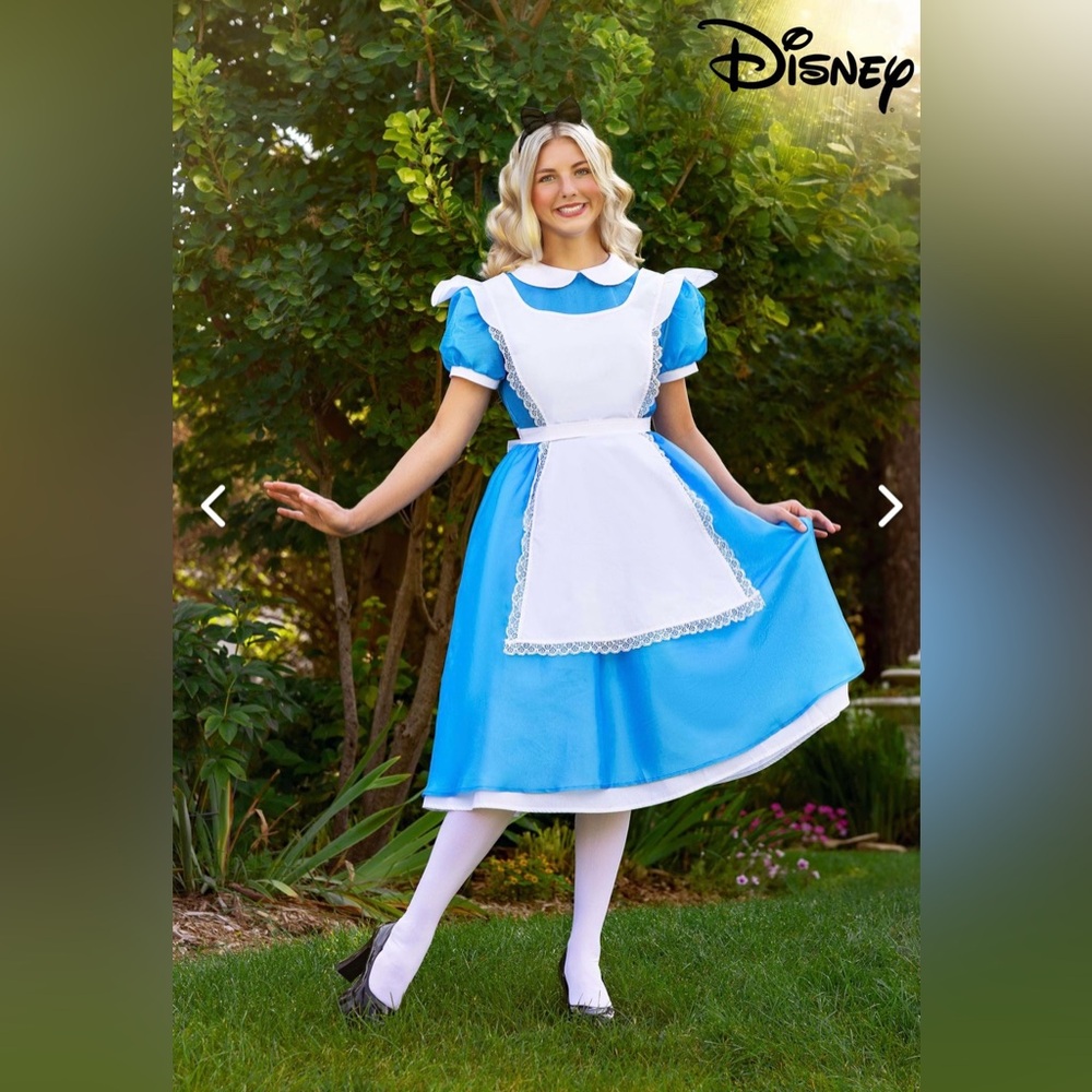 Women’s Alice In Wonderland costume